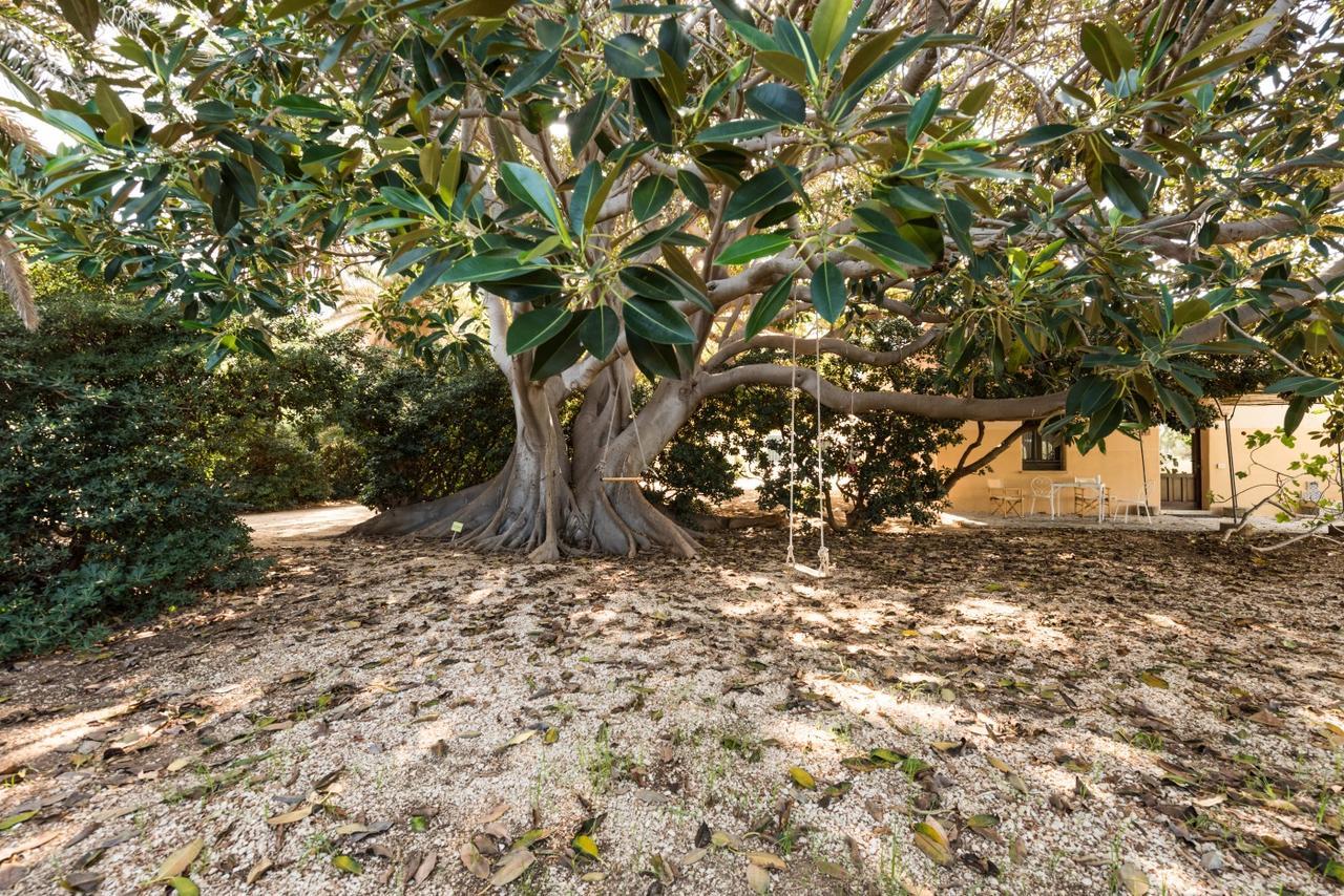 Azienda Agrituristica Tenuta Pizzolungo Erice Extérieur photo